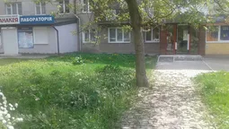 У Луцьку голів ОСББ штрафуватимуть за нескошену траву (фото)
