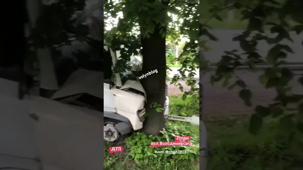 У Луцьку - аварія: вантажівка влетіла у дерево(відео)