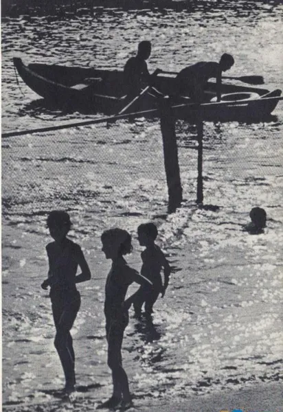 Луцьк радянський: як виглядало місто у 1960-х роках (фото)