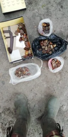 На Волині затримали бурштинокопачів (фото)