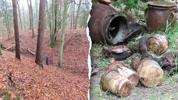 Загублене середньовічне місто знайшли в руїнах у польському лісі