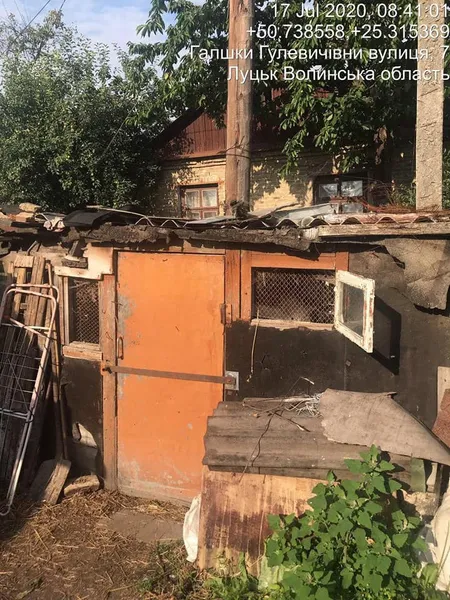 Сарай, де тримають кіз у старій частині Луцька, демонтують: готують рішення (фото)
