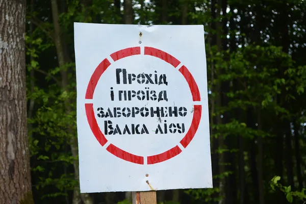 Від сучків до дубових заготовок: як на Волині «пиляють» ліс (ФОТОРЕПОРТАЖ)