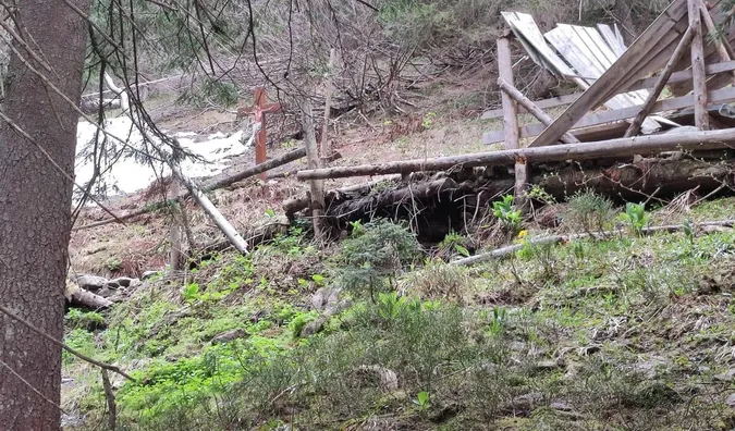 На ухилянтів у горах чатують ведмеді (фото)