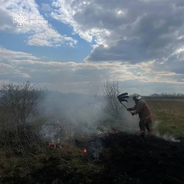 На Волині знову палала суха трава: вогонь охопив понад 3 гектари території (фото)