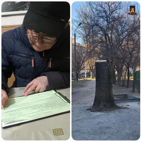 У Луцьку муніципали покарали людину за зрізане дерево