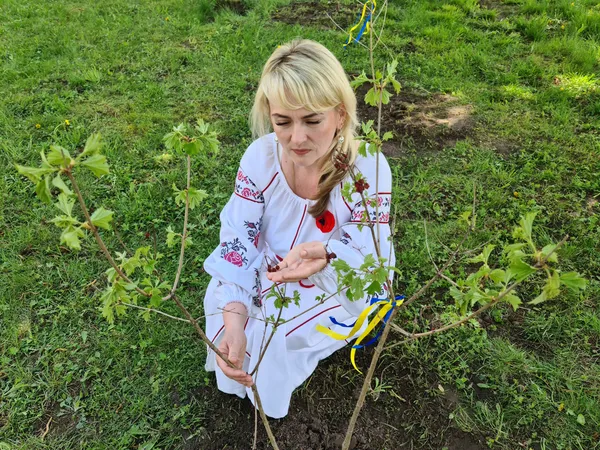 В пам'ять про Героїв-односельців у Підгайцівській громаді висадили кущі калини