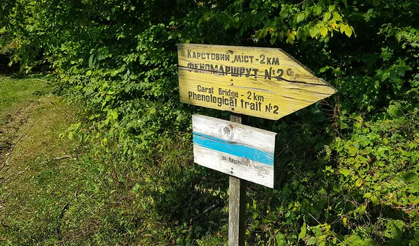 Серед лісу в Карпатах зберігся гігантський міст-скеля, де язичники поклонялися Сонцю (фото)