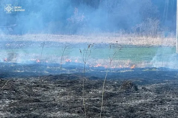 У Луцькому районі горіла суха трава – винуватця оштрафували (фото)