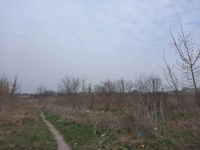 Лучани влаштували сміттєзвалище біля Нового ринку (фото)