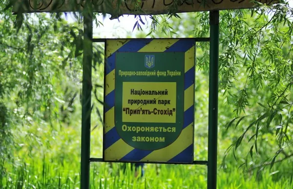Байдарками по Волині: як підкорити мальовничий «Прип'ять-Стохід» (фото, відео)