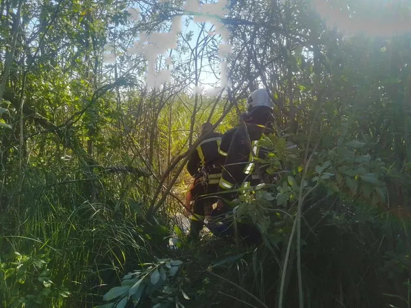 Скинув геолокацію: на Волині рятувальники шукали чоловіка, який заблукав і застряг на болоті (фото)