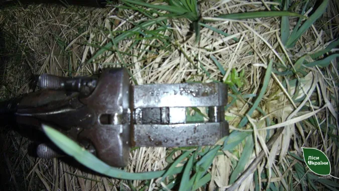 У лісі на Волині затримали двох озброєних чоловіків (фото)