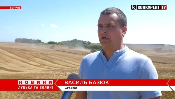 На Волині – розпал запізнілих жнив: чи буде цьогоріч врожай (відео)