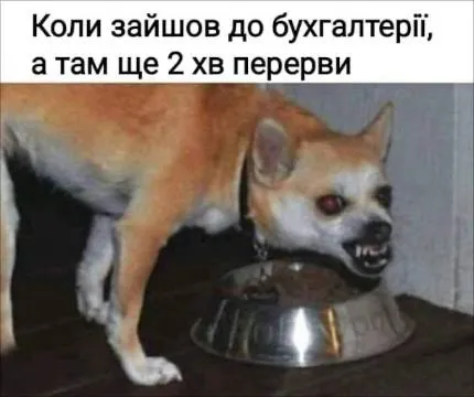 День бухгалтера: меми, приколи і вітання