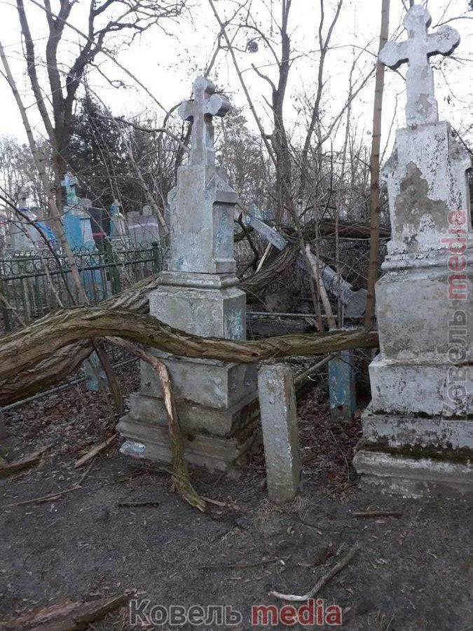 Пам’ятники розбиті: у Ковелі на кладовищі вітер повиривав дерева з корінням (фото, відео)