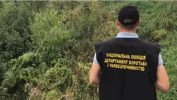 У Підгайцях полісмени впіймали дітей з канабісом та пістолетом (фото)