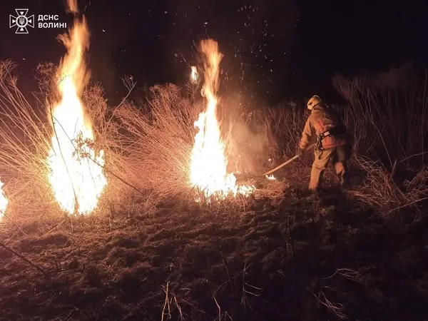 За добу на Волині вигоріло майже 6 гектарів сухої рослинності (фото)