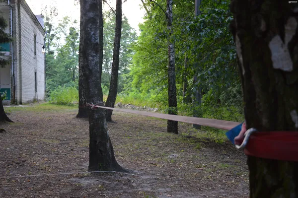 Мінне поле, 1000 Вт, нічні квести:  як Волвест випробовує працівників на міцність. Ніч (фото)  