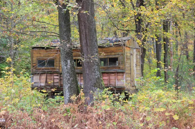 Містично-туманна Волинь: показали таємничі закутки регіону (фото)
