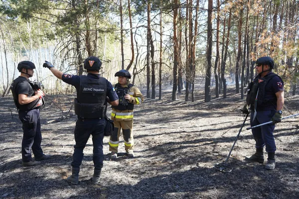 Показали, як волинські сапери працюють на Донеччині (фото)