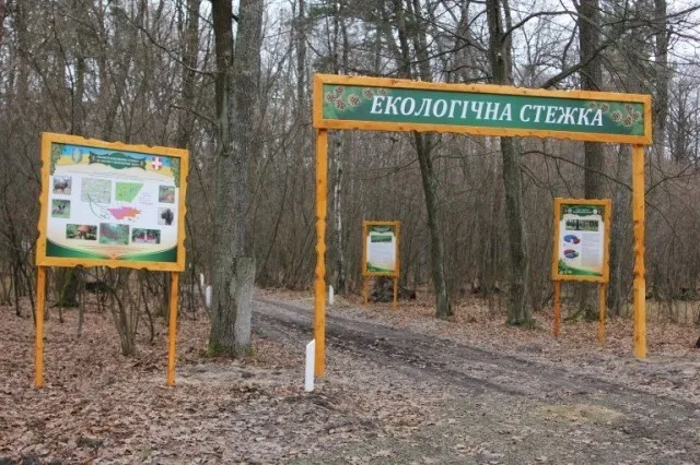 Куди поїхати на велосипеді неподалік Луцька (маршрути)