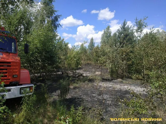 В Озерці – пожежа: зайнявся понад гектар лісу (фото)