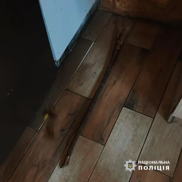 На Прикарпатті чоловік жорстоко побив подружжя пенсіонерів (фото)