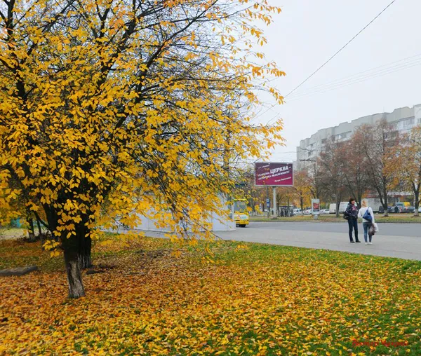 Луцький фотохудожник показав «останнє золото осені»