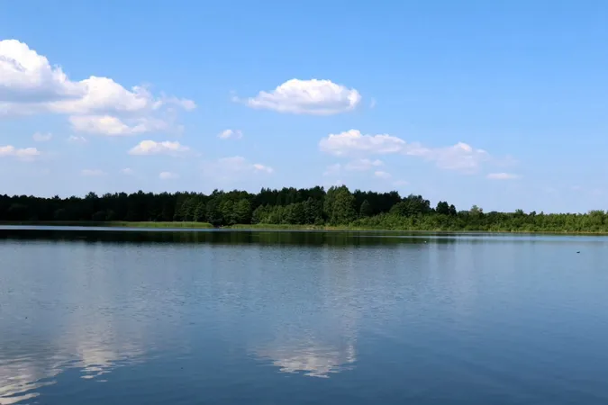 На Волині перевірили озеро Велике Чорне: що показали аналізи води (фото)