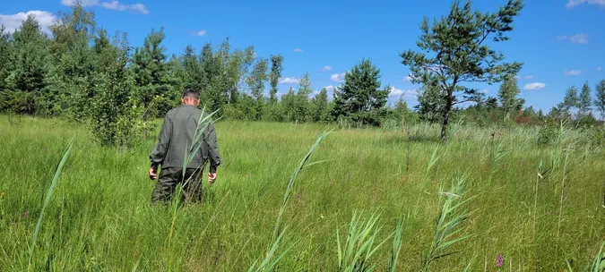 На Волині помітили рідкісні рослини, які можуть зникнути (фото)
