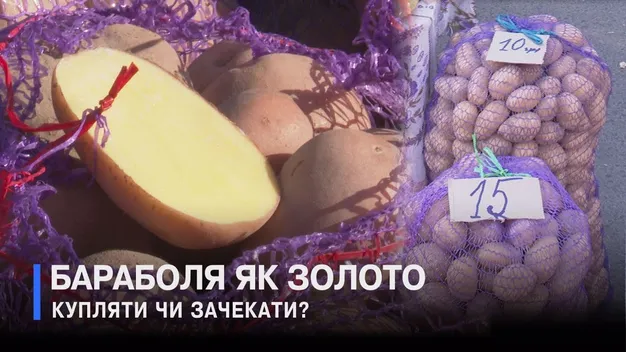 Картопля як золото: що на ринку у Луцьку відбувається із продуктами (відео)