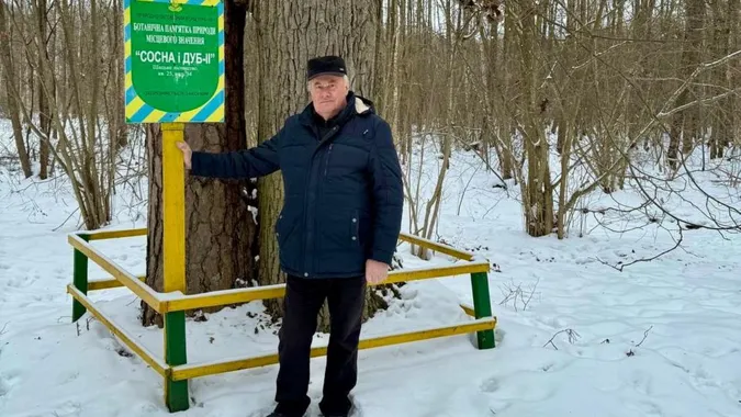 Нерозлучна пара: у Шацьких лісах сосна й дуб «обіймаються» вже два століття (фото)