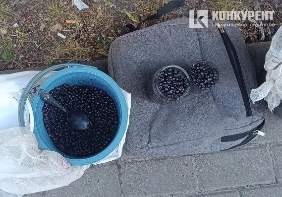 Скільки коштують перші чорниці на луцьких ринках