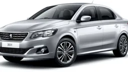 Для волинських амбулаторій закупили перші 23 автівки Peugeot (відео)