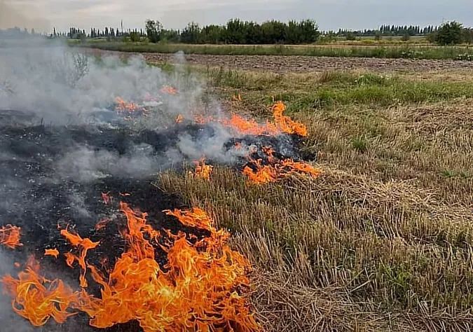 На Волині чоловік загинув, підпалюючи суху траву на полі (відео)