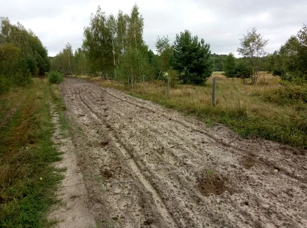 На Волині контрабандистів зупиняли пострілами (фото)