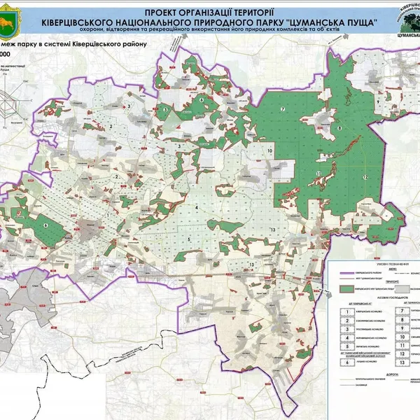 Зубри, дикі орхідеї та Чортове болото: де на Волині дивовижне співіснує з таємничим (фото)