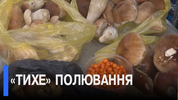 Білі, лисички, підберезники: які гриби продають на луцьких ринках (відео)