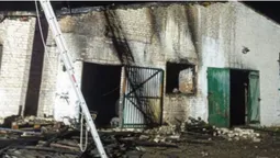 Врятували 700 тварин: у Луцькому районі горів свинарник (фото)