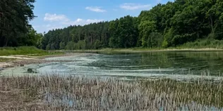 «Земля буде горіти»: краєзнавець пояснив, чому на Волині зникають озера та пересихають джерела (фото)