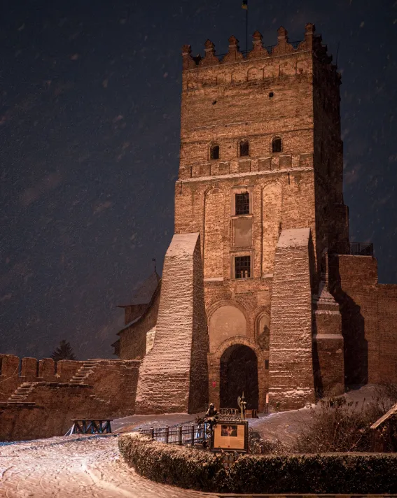 Світло ліхтарів і сяяння сніжинок: нічний снігопад у Луцьку (фото)