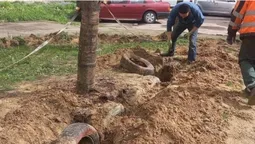 У Луцьку муніципали «видобули з надр» 152 шини за один день (фото)