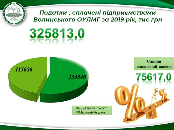 За минулий рік держлісгоспи Волині сплатили понад 325 мільйонів податків