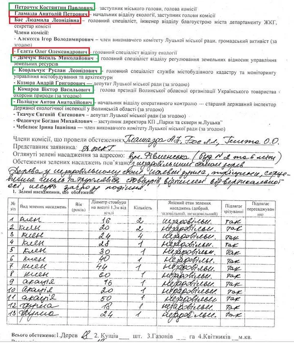 Хто й навіщо дозволив зрізати 18 дерев у Луцьку (фото)