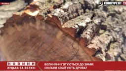 Зима близько: скільки на Волині коштують дрова (відео)