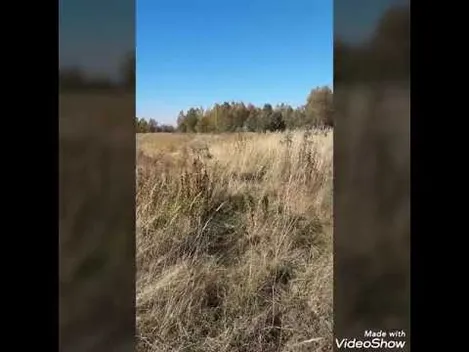 В соцмережі показали красу Волині з її найвищої точки (відео)