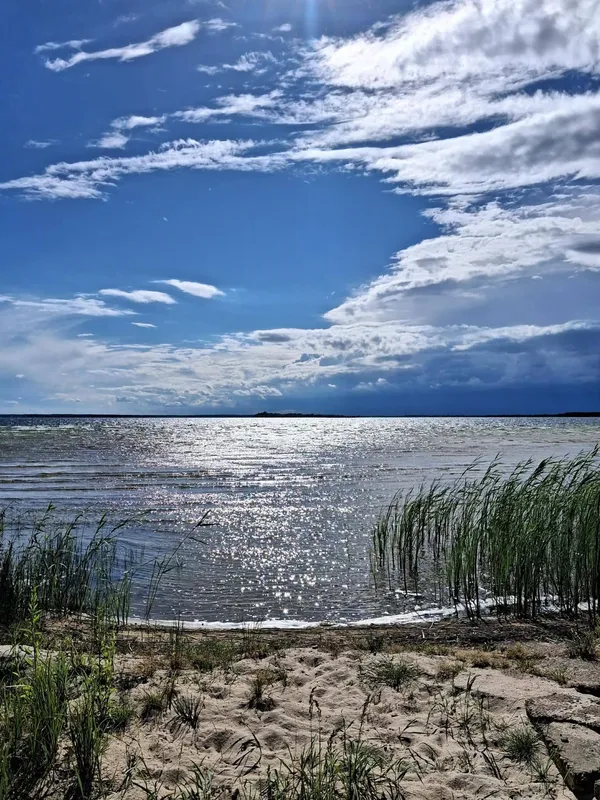 Світязь вразив незвичним видовищем: вода в озері стала схожою на рідке срібло (фото)