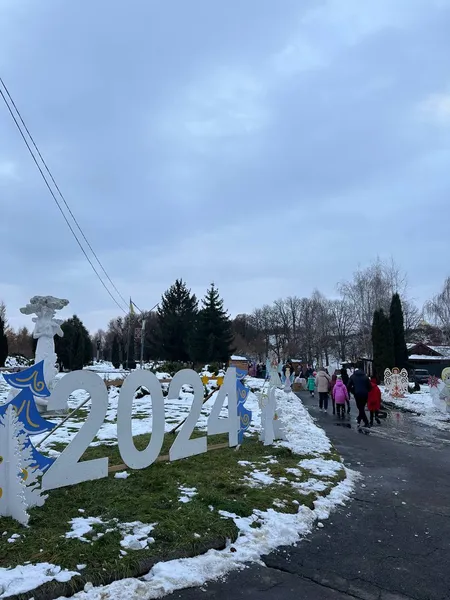 У Володимирі відкрили головну ялинку міста (фото)