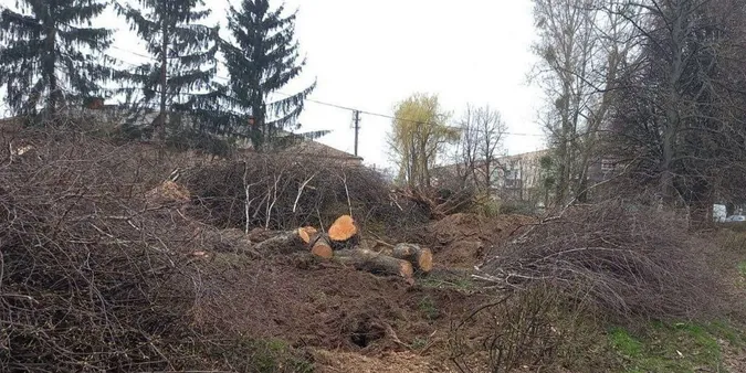 У Луцьку на Гордіюк незаконно зрізали дерева, за винуватців взялись муніципали
